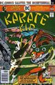 KarateKid03.jpg